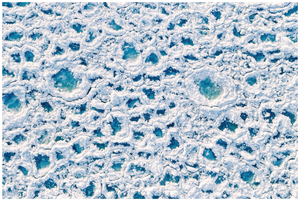 Main image Jigsaw