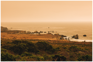Main image Wildfire Dusk