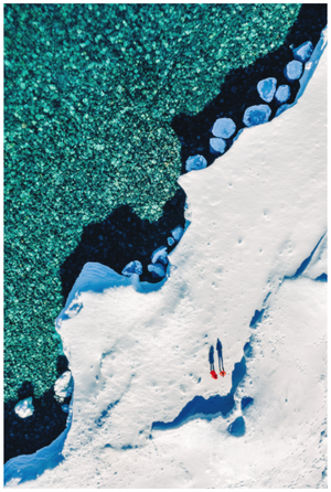Main image Shadows